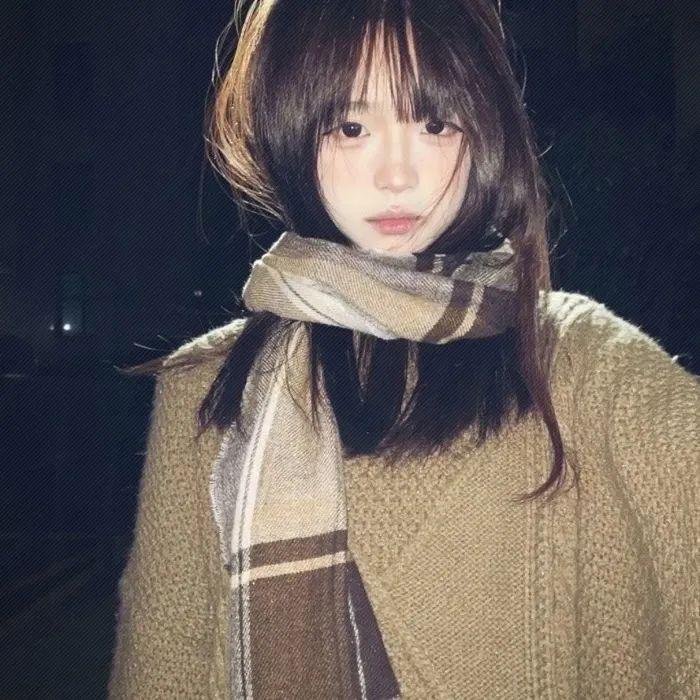 会长是女仆 特别篇